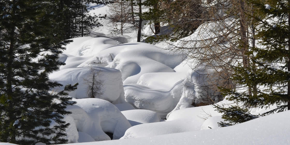 natur_pur_winter